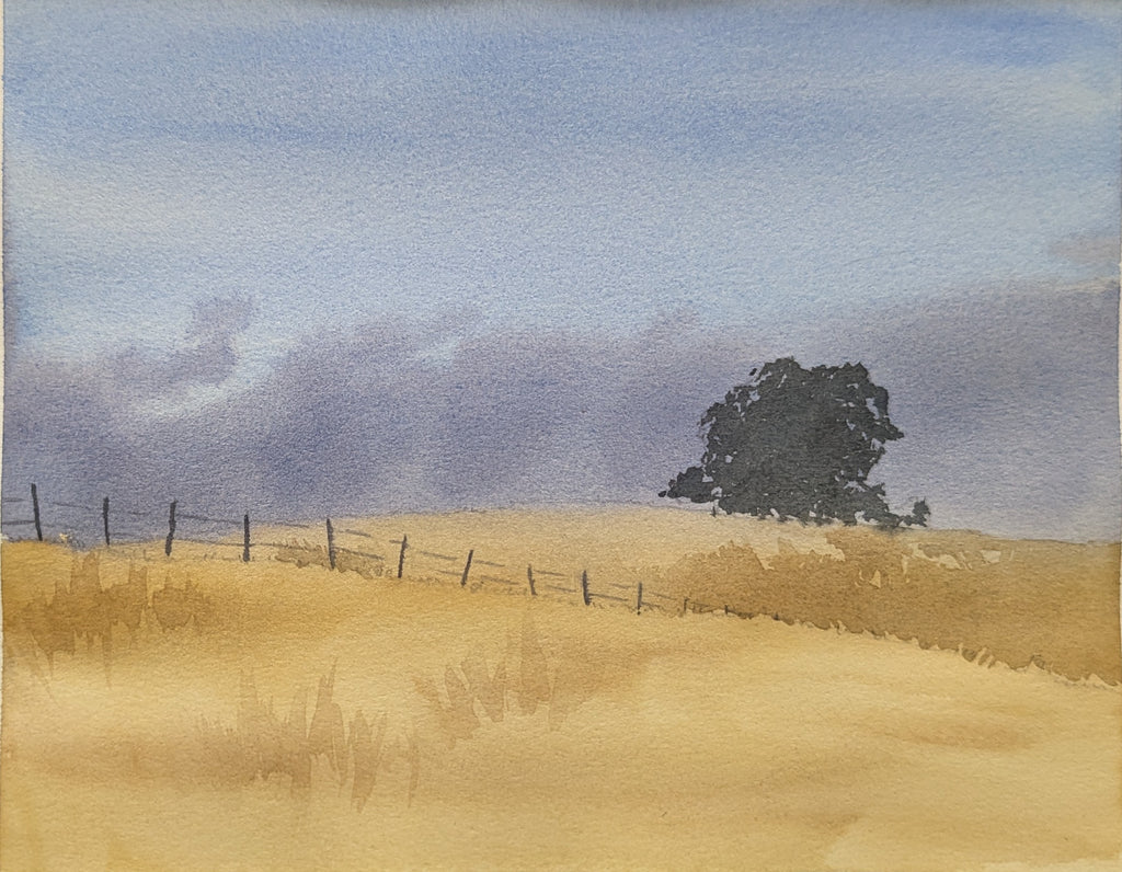 The Marine Layer at Joseph D. Grant County Park