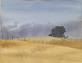 The Marine Layer at Joseph D. Grant County Park